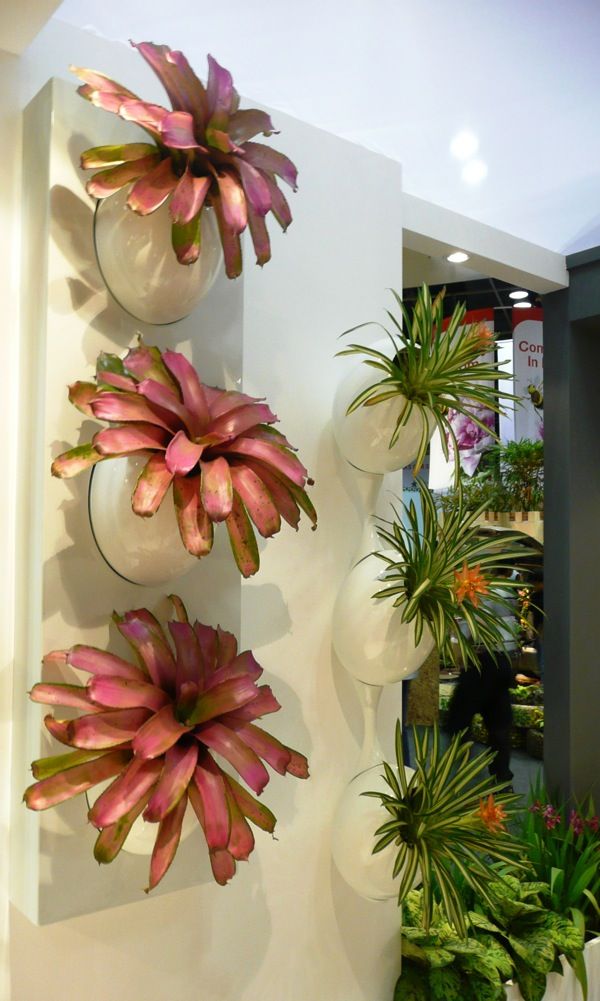 30 Hanging and wall garden ideas for your decor - Diy Fun World