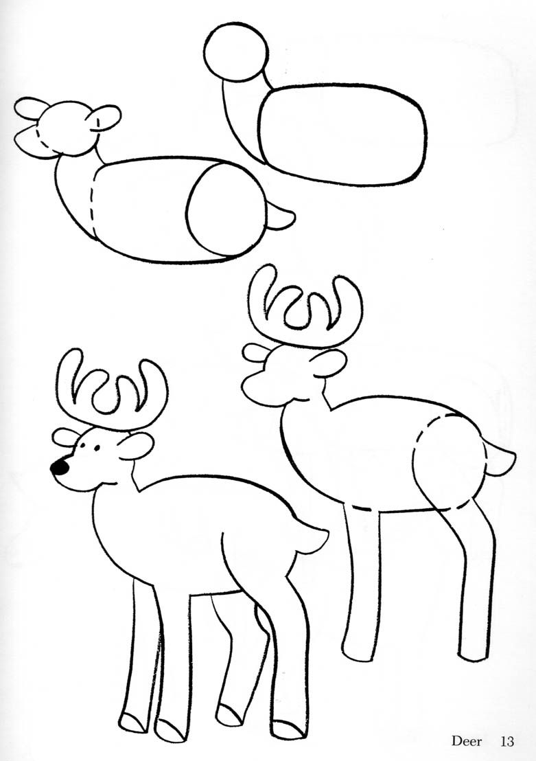 Las cosas que aprendo: como dibujar animales
