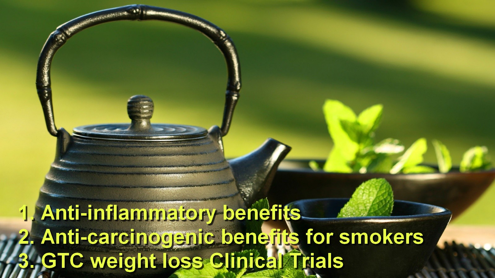 Molium Healthy Weight Loss