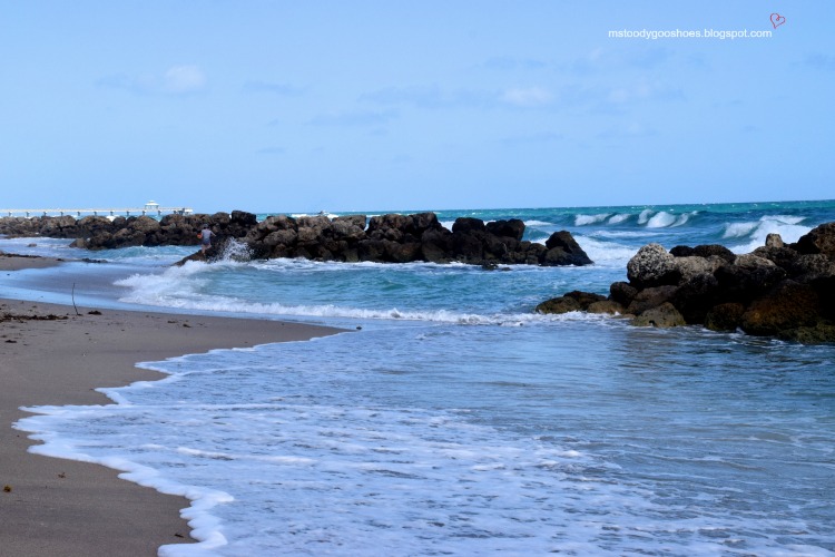 Deerfield Beach: A Month In Florida |Ms. Toody Goo Shoes Deerfield Beach: A Month In Florida |Ms. Toody Goo Shoes