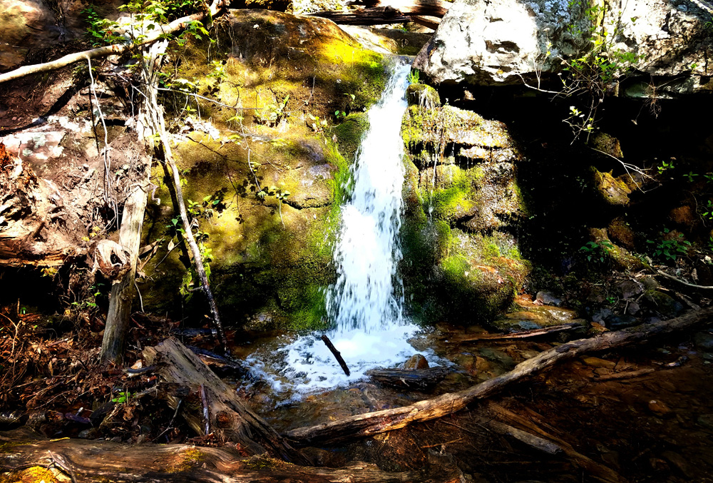 Hiking Trails in NJ and PA Hiking the Mt. Tammany Trails