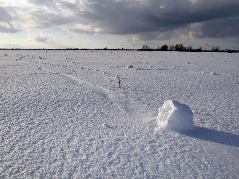 Snow Roller: A Strange Meteorological Phenomenon Snow Roller: A Strange Meteorological Phenomenon