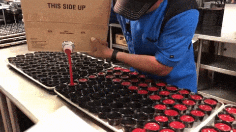 daily_gifdump_2931_13.gif