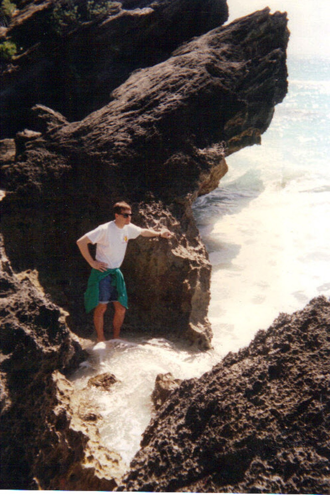 A Fly on Our (Chicken Coop) Wall: Get Ready to Dance: Bermuda-Style!