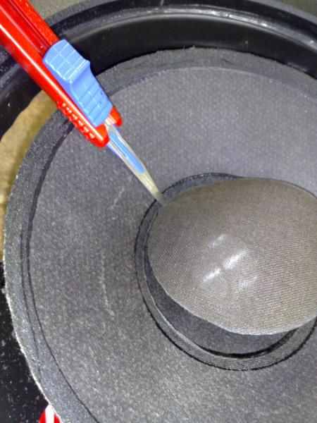 How To Remove Subwoofer Dust Cap From Cone - How To Install Car Audio  Systems