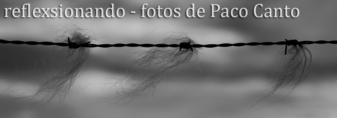 reflexsionando - fotos de Paco Canto