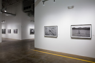 Yayoi Kusama Solo Exhibition Exhibition Artlinkart Chinese