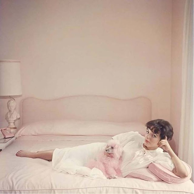 Stunning Image of Slim Aarons and Joan Collins in 1955 