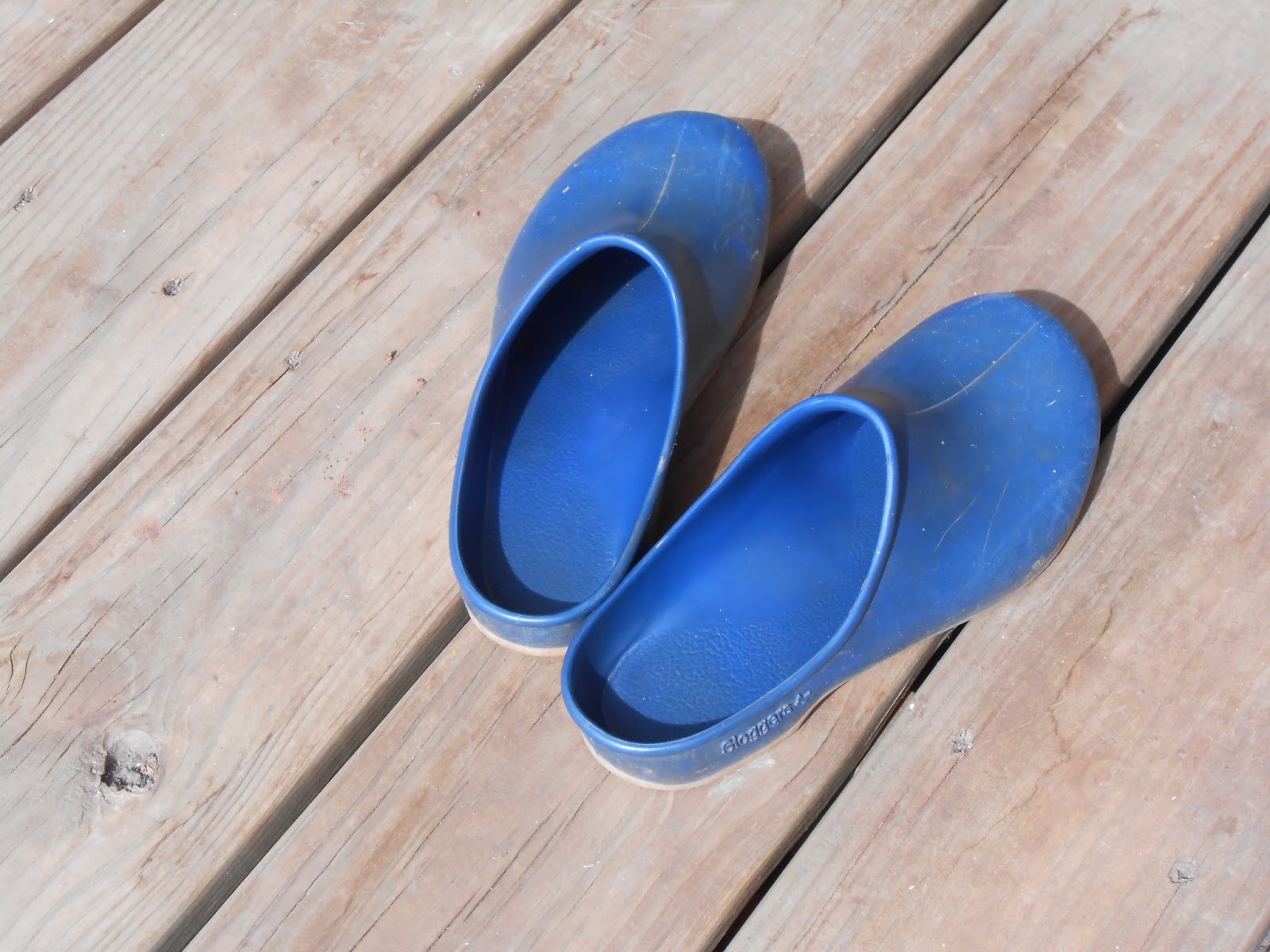 Windy Acres Diary: Garden Shoes