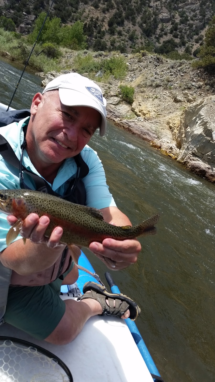 Fish Spotter Dry Flies