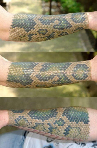 Realista de pele de cobra
