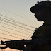 India Rebuts Pakistan Charge of Provoking Fire