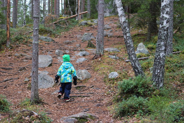 Ammejärvi Nuotiopaikka Tampere