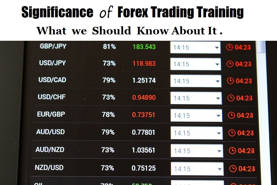 Significance of Forex Trading Training What We Should Know About It