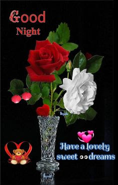 good night good night