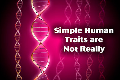 Evolutionists embarrassed, simple traits not genetically simple after all