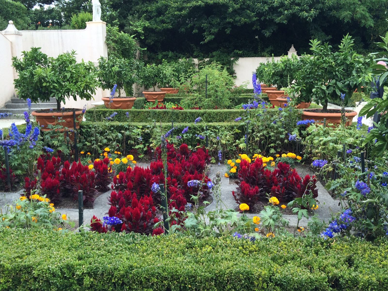 Sandeep The Traveller Beautiful Hamilton Garden in New Zealand