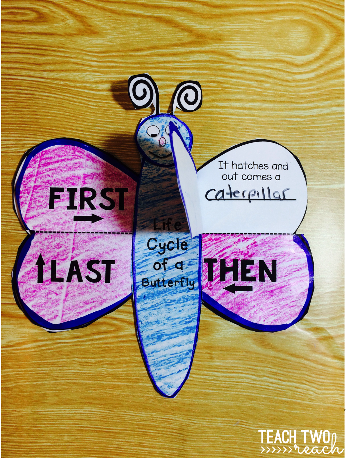 Butterfly Life Cycle Fun! - Teach Two Reach 2nd Grade Happenings