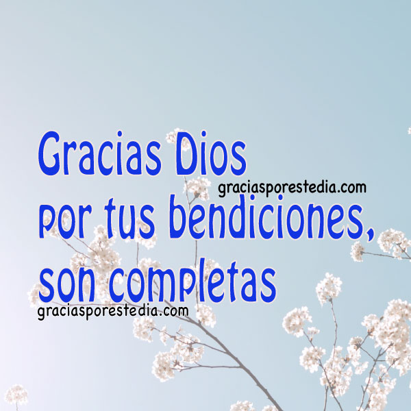 My Image 16