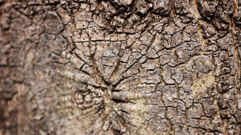 Blog Lieblinge Heute Stelle Ich Euch Den Blog Familienbetrieb Von