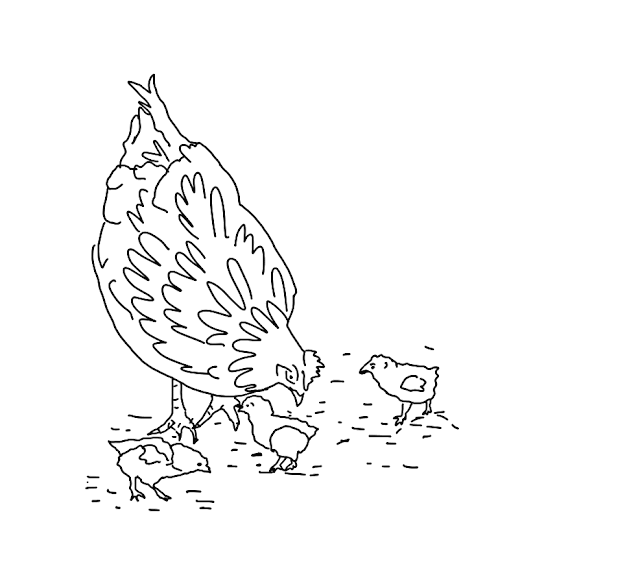Hen And Chicken Mom Baby Drawing Free wallpaper