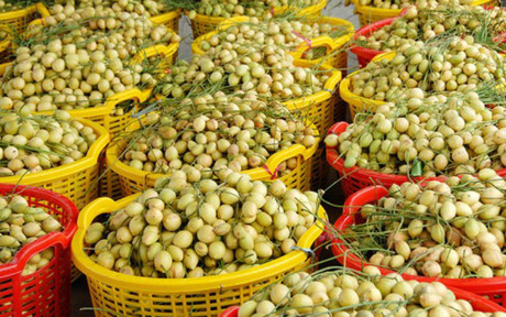 Nhung vuon dau bon bon triu qua 'hai ra tien' - Anh 13