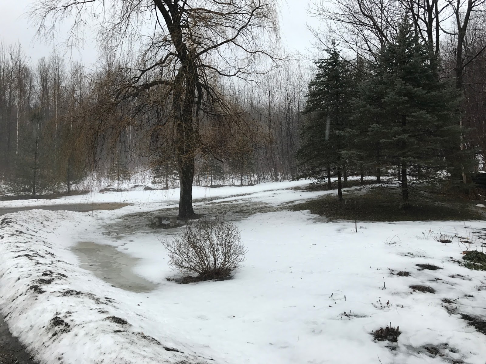 Matt's Weather Rapport This Vermont February Hot Spell Will Be Really Weird. Strange Weather