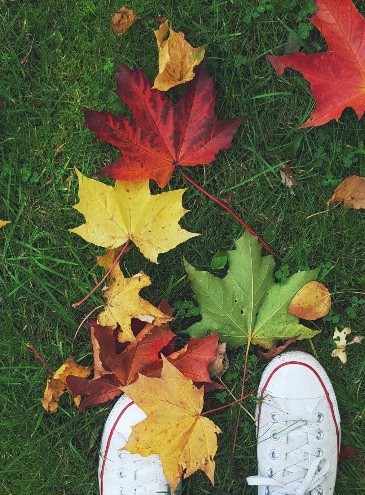 Autumn Fun And Kicking Some Leaves Autumn Fun And Kicking Some Leaves