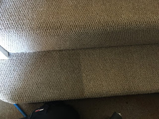 carpet cleaning cambridge carpet cleaning cambridge