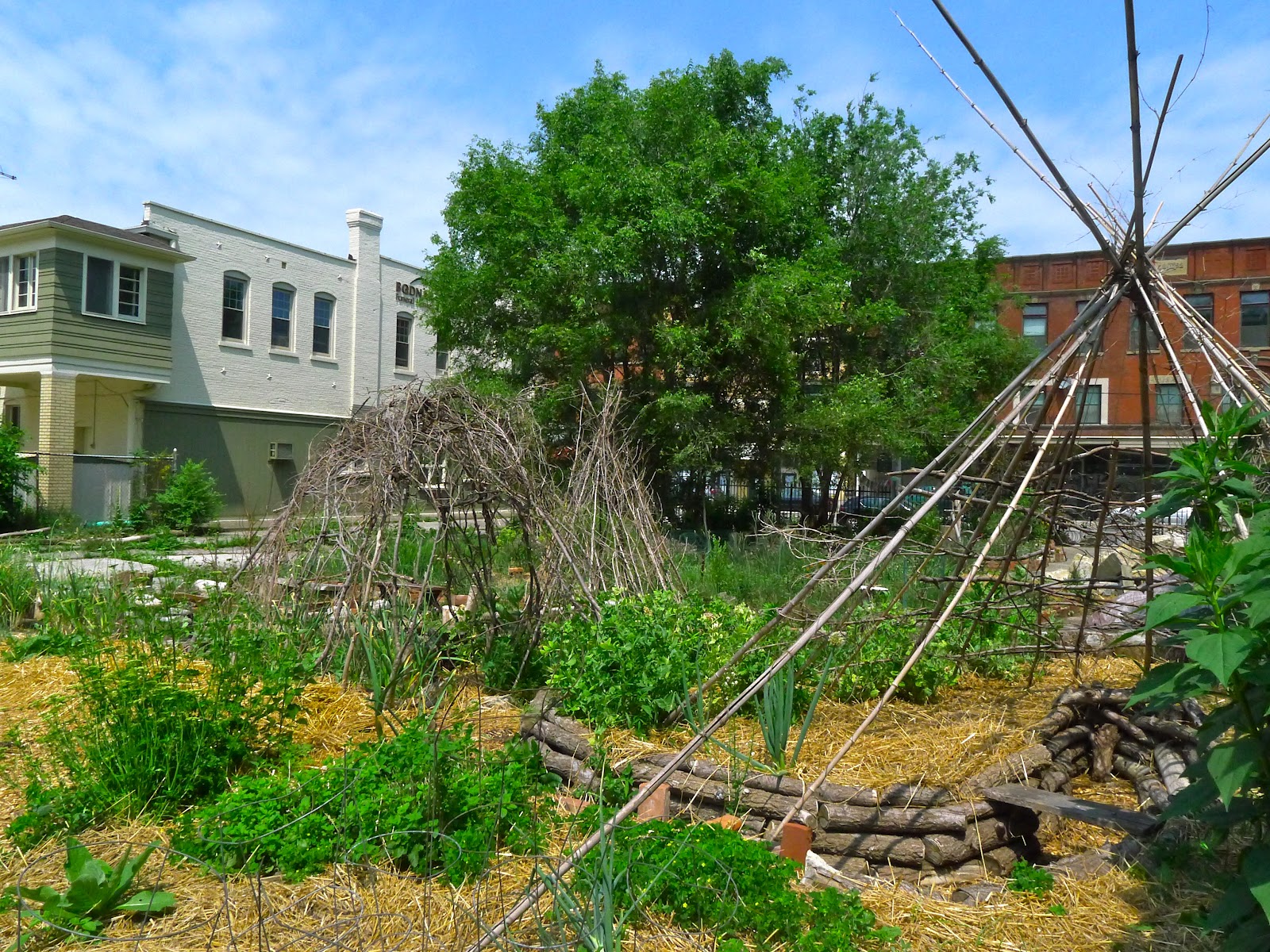 Possibilitarian Garden
