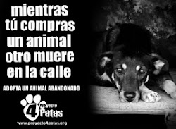 Adopta, no compres