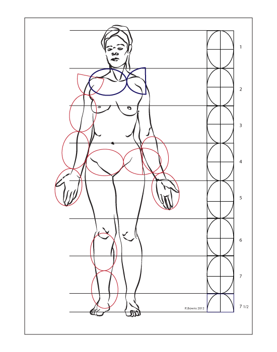 proportions_Female_3.gif