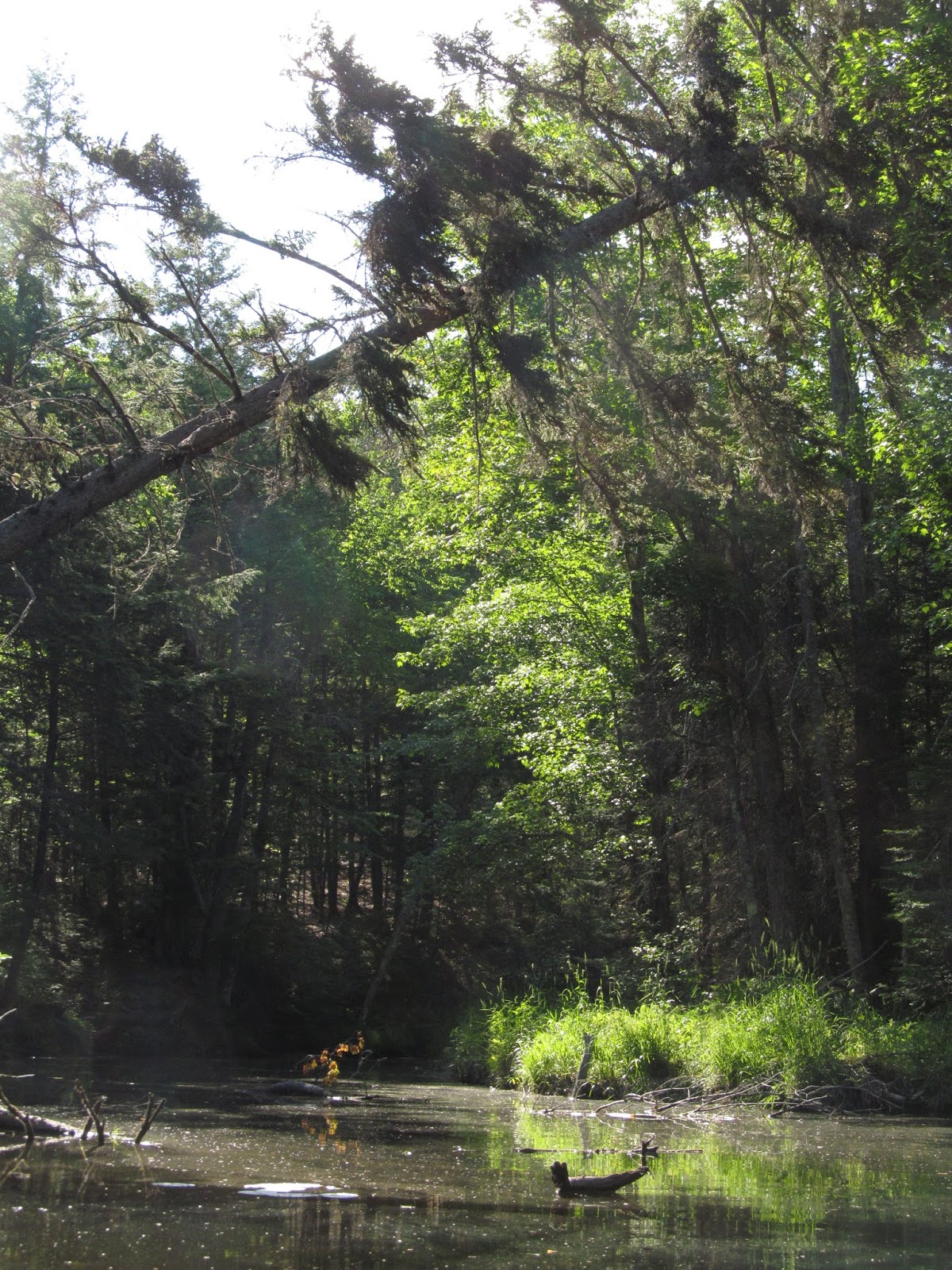 Recreational Kayaking in Maine Upper Pleasant Pond, Richmond, Maine