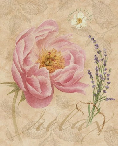 Lamina con flor rosa 
