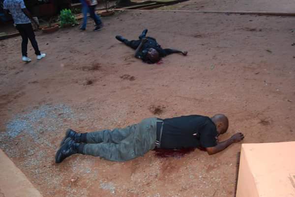 Three policemen killed as gunmen kidnap Edo zoo chief Three policemen killed as gunmen kidnap Edo zoo chief