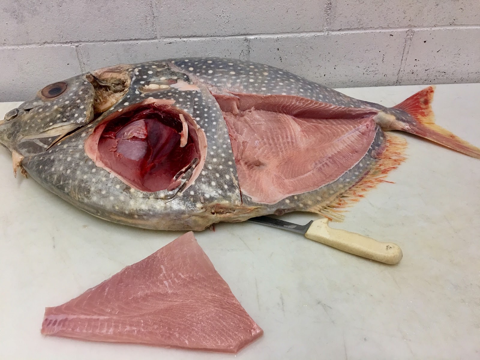 To Market To Market With San Diego Foodstuff Catalina Offshore