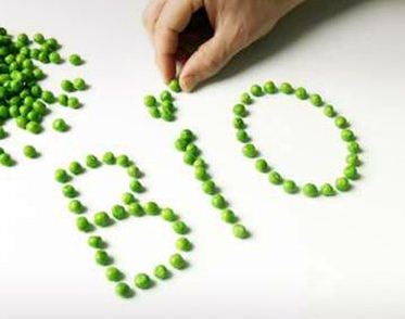 Διατροφικοί μύθοι στο μικροσκόπιο