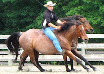 Cooler Horsemanship - Equine Communication Without Boundaries