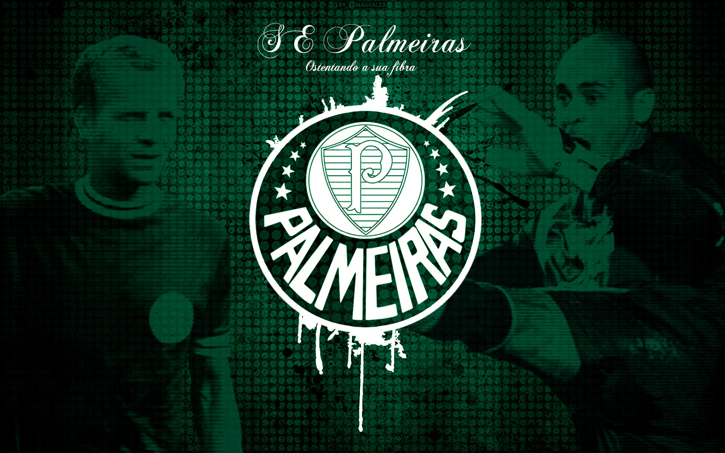 Papel De Parede Do Palmeiras Wallpapers Baixar Gratis Nacao Palmeirense Blog Da Torcida Palmeirense Tenho certeza que voce encontrou o papel de parede que voce queria pois fizemos esta selecao com carinho baseado no interesse masculino. papel de parede do palmeiras