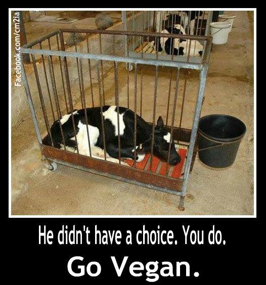 Alltagsheldennetz World Of Pd