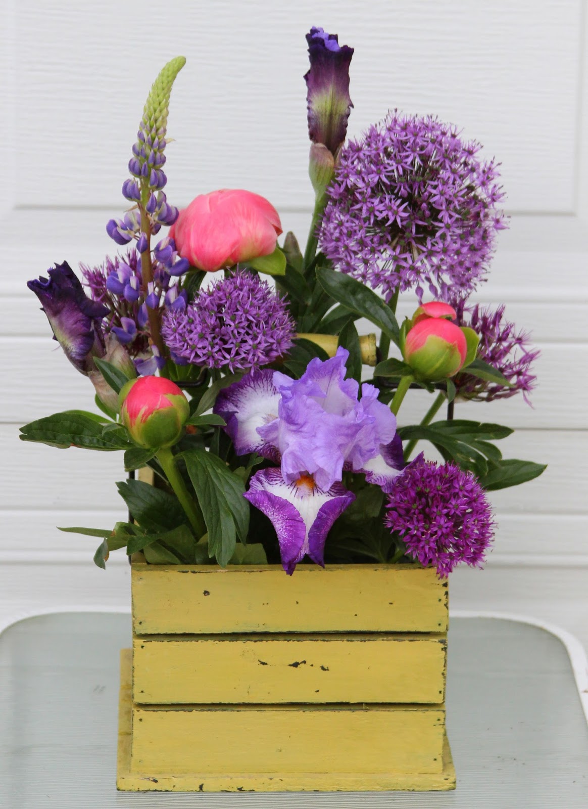 TALL BEARDED IRISES and ITOH PEONIES Neverending floral arrangement