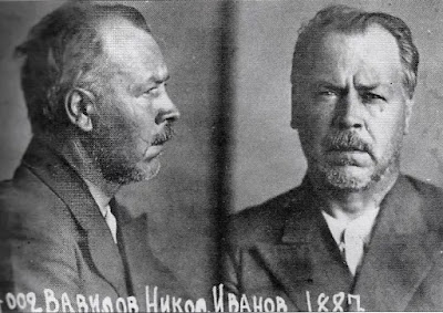 Nikolai Vavilov