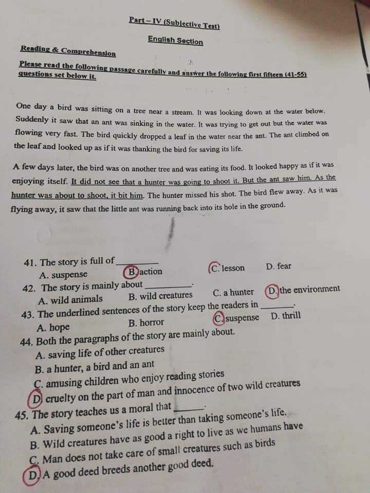 Questions about early childhood development picture