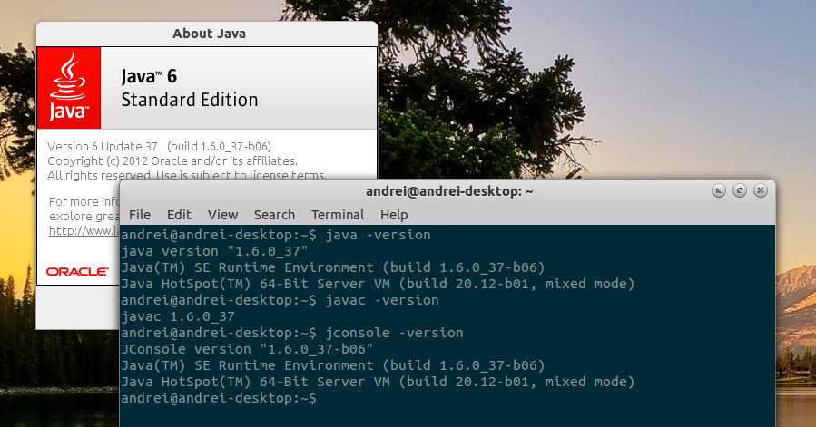 installation java debian 6
