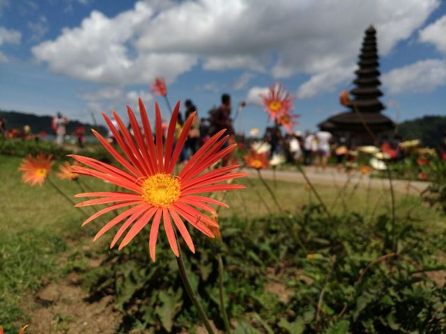 pura ulun danu bratan Bali PURA ULUN DANU BRATAN BALI