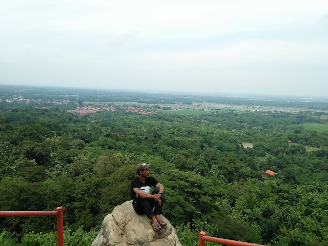 adheb's photo adheb's photo
