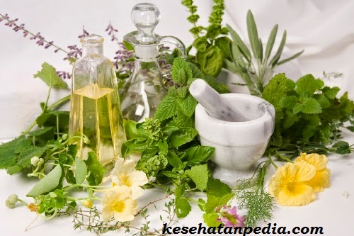 manfaat rempah dan tanaman herbal