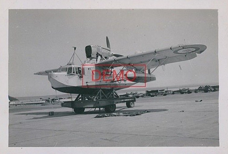 Lylymom Personal Ideas Re Action On The Internet May 2017 Ideas