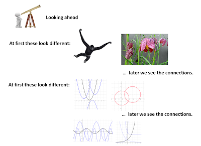 exzuberant: A visit to the Function Zoo