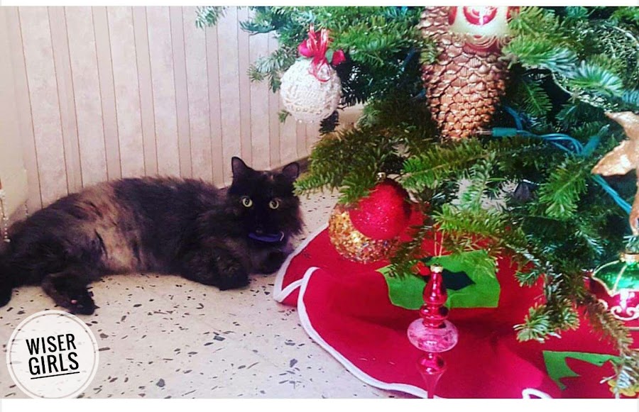 alegre navidad boricua 2016